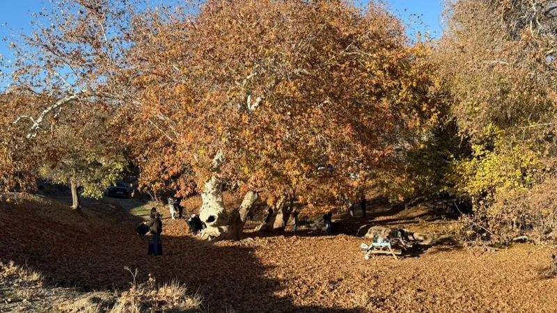 Adıyaman Zeynel Abidin Türbesi kış günlerinde ziyaretçi akınına uğradı  - Videolu Haber