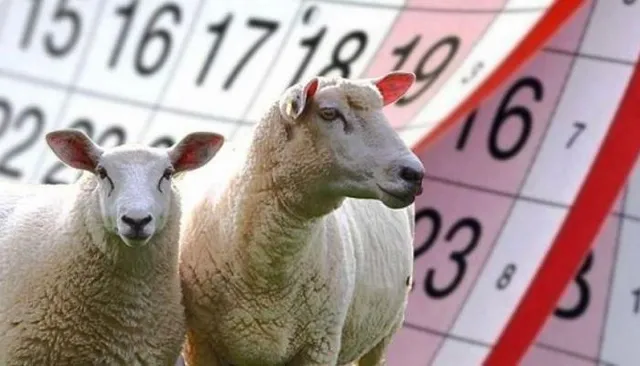 Kurban bayramı 2025 ne zaman? Kurban Bayramı tatili kaç gün olacak?