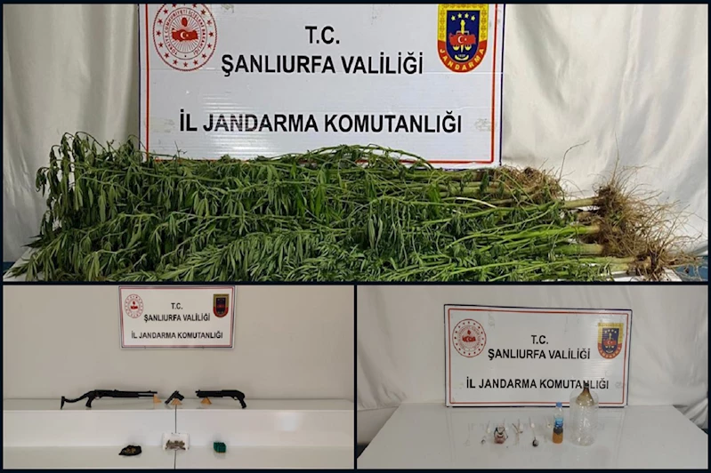 Şanlıurfa’da jandarmadan uyuşturucu operasyonu