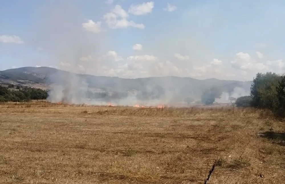 Narman’da Anız Yangını Hızla Söndürüldü 